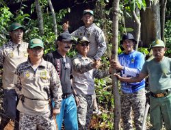 Pemdes Tridayasakti Tanam Ratusan Pohon di Area Makam-Kali Srengseng